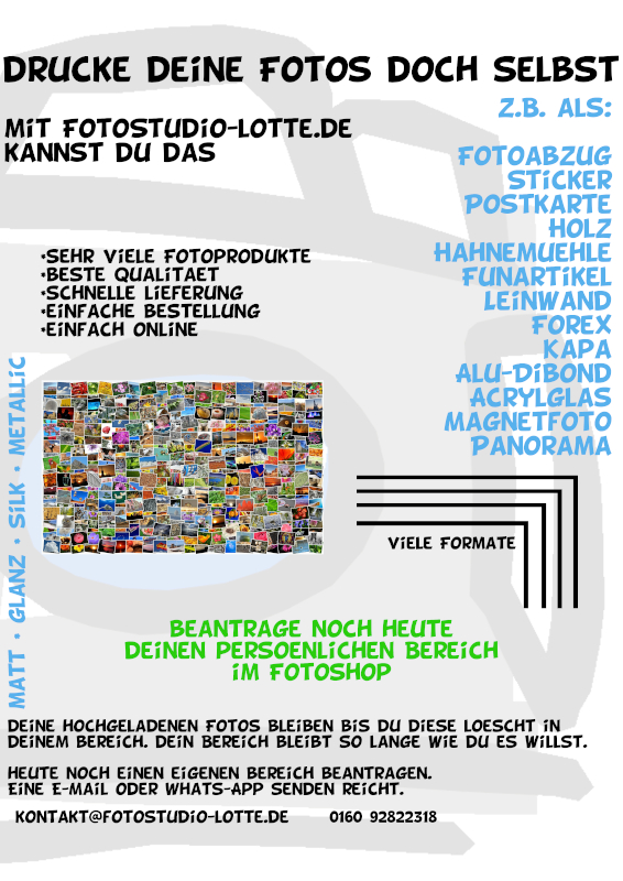 werbeplakat drucke deine fotos doch selbst 800